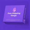 Free Shipping Gauge